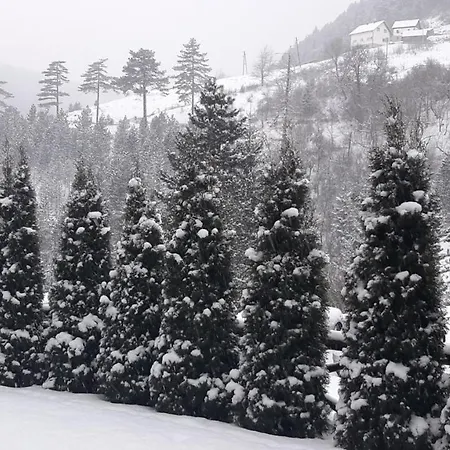 Daire Suncana Dolina,